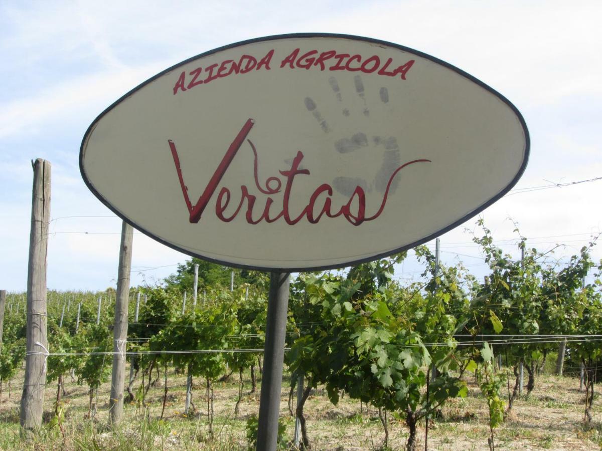 Agriturismo "Veritas" Bed & Wine Casaleggio Boiro Εξωτερικό φωτογραφία